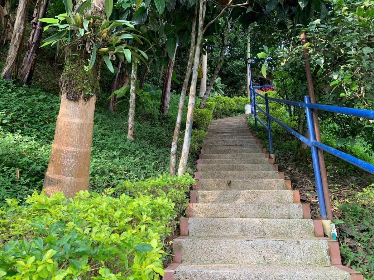 Finca Altamira ลาเบกา ภายนอก รูปภาพ